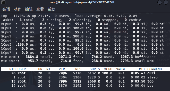 CVE-2022-0778-cpu100