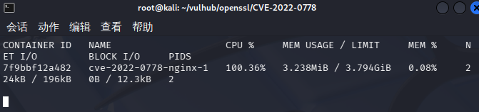 CVE-2022-0778-nginxcpu100